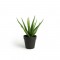 Τεχνητό Φυτό Aloe Vera 36 cm Inkazen 40081834