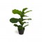 Τεχνητό Φυτό Ficus Lyrata 50 cm Inkazen 40081828